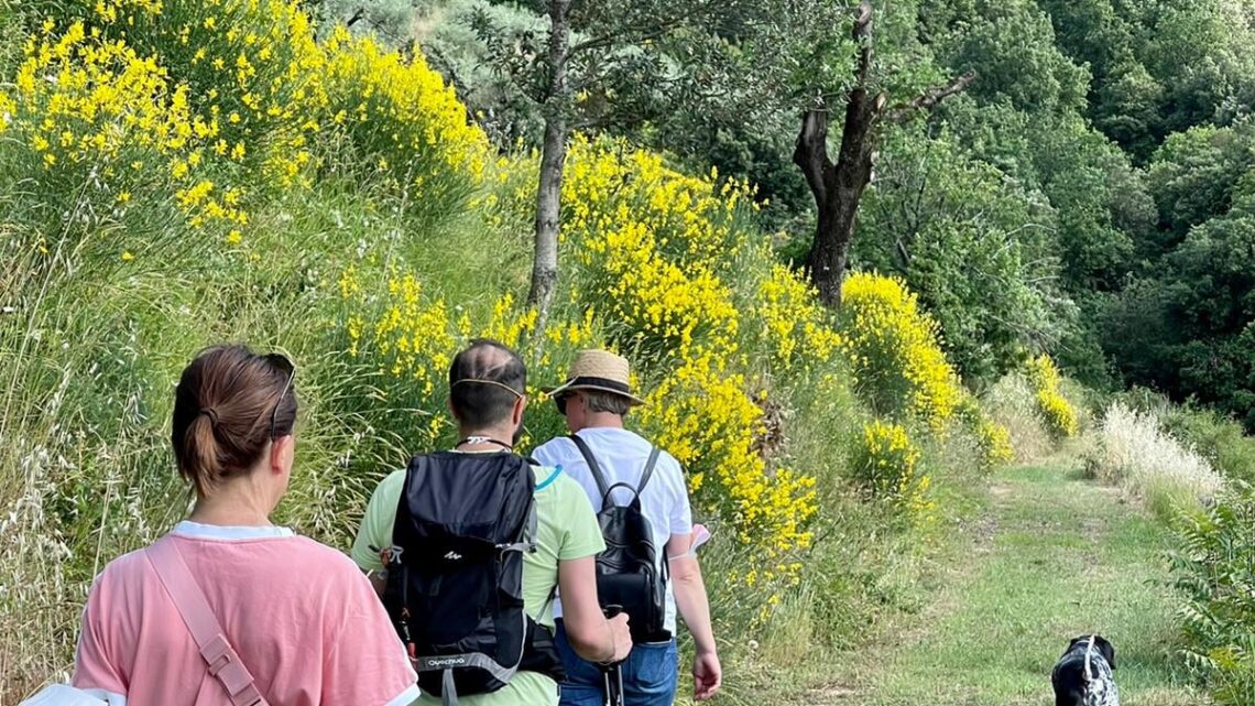 “PASSEGGIATE & BUON GUSTO. BORGHI, ULIVI E FATTORIE”: CONCLUSO CON SUCCESSO IL PRIMO CICLO DI APPUNTAMENTI DI OLEOTURISMO IN UMBRIA ORGANIZZATI DALLA  STRADA DELL’OLIO E.V.O. DOP UMBRIA IN COLLABORAZIONE CON LE ASSOCIAZIONI “I TUOI CAMMINI” E “L’OLIVO E LA GINESTRA”