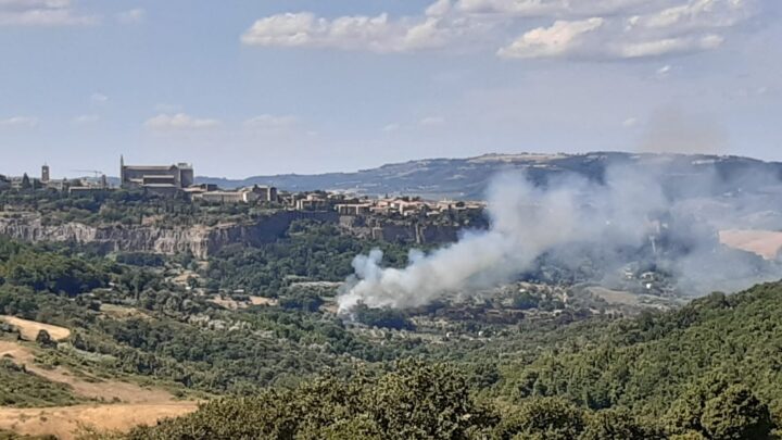 ZONA DELLA “CANNICELLA” BONIFICATA NELLA NOTTE. IN CORSO DI ACCERTAMENTO LE CAUSE DELL’INCENDIO DI IERI