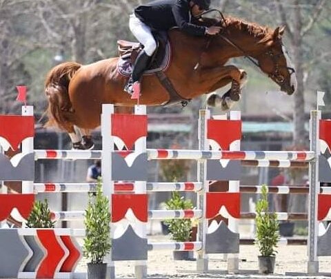 EQUITAZIONE, LA PANDEMIA NON HA FERMATO L’ATTIVITÀ AGONISTICA DELLA SCUDERIA VALMARINO