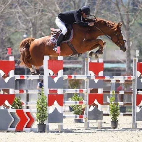 EQUITAZIONE, LA PANDEMIA NON HA FERMATO L’ATTIVITÀ AGONISTICA DELLA SCUDERIA VALMARINO