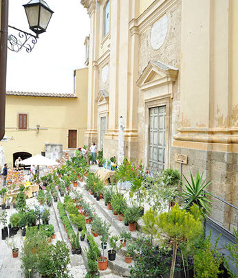 CALVI DELL’UMBRIA: IL 28 ED IL 29 AGOSTO TORNA LA XXI EDIZIONE DI “TRA POMI E FIORI”