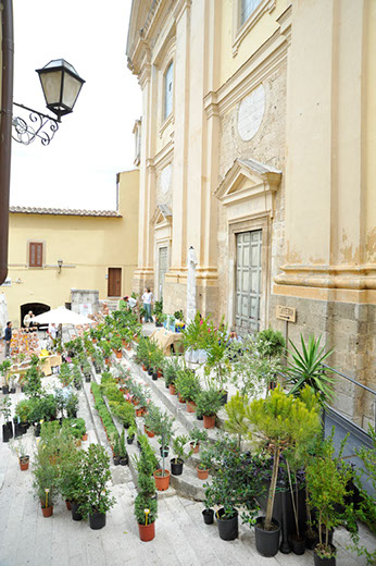 CALVI DELL’UMBRIA: IL 28 ED IL 29 AGOSTO TORNA LA XXI EDIZIONE DI “TRA POMI E FIORI”