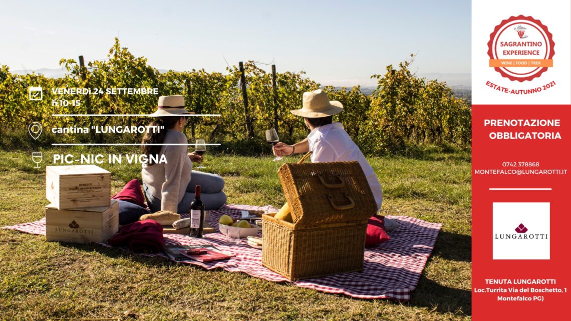 ‘PIC NIC IN VIGNA’ PER IL NUOVO APPUNTAMENTO DI SAGRANTINO EXPERIENCE