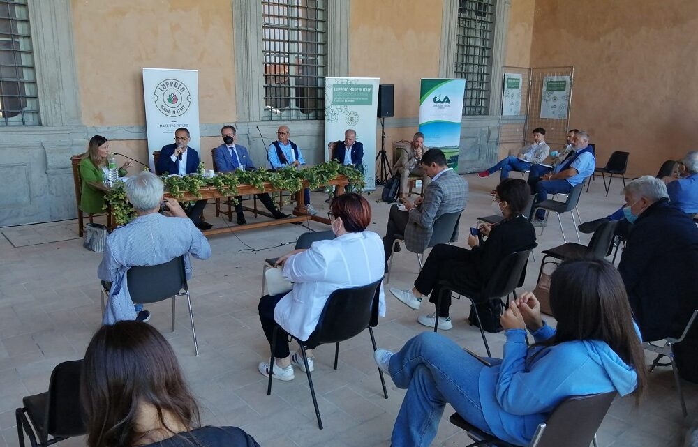 E’ IN UMBRIA IL CUORE PULSANTE DELLA FILIERA NAZIONALE DEL LUPPOLO