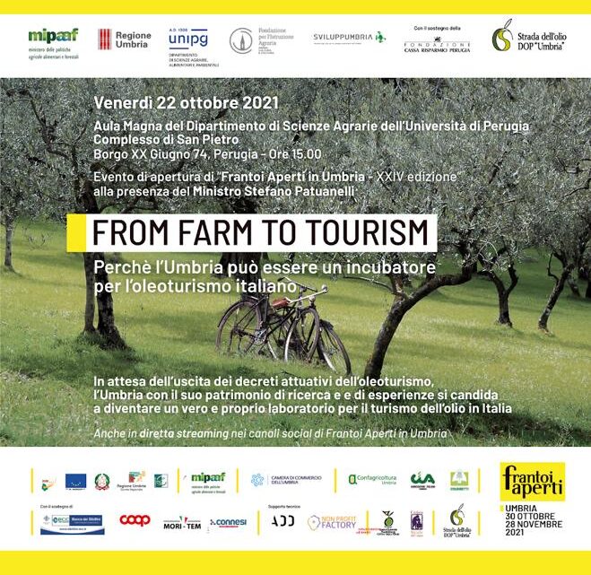 L’UMBRIA INCUBATORE PER L’OLEOTURISMO IN ITALIA