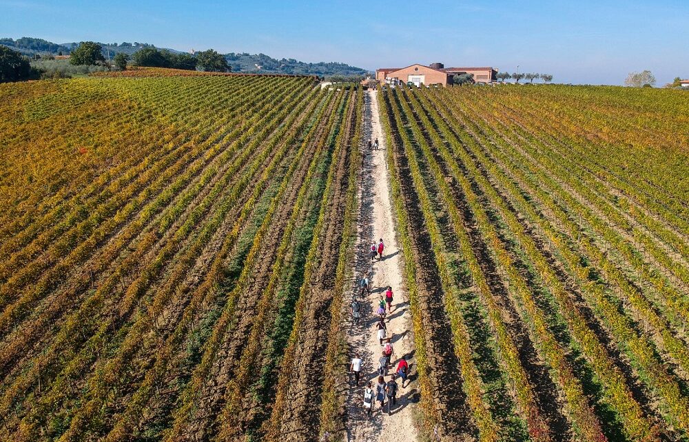 GRANDE SUCCESSO PER LA SECONDA EDIZIONE DELLA SAGRANTINO RUNNING, QUELLA DELLA RIPARTENZA.