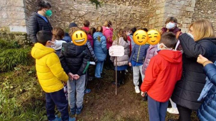 NARNI, FESTA DELL’ALBERO: A CHIOSTRO SANT’AGOSTINO PIANTATO NUOVO CILIEGIO, SARÀ PARTE FRUTTETO COMUNALE