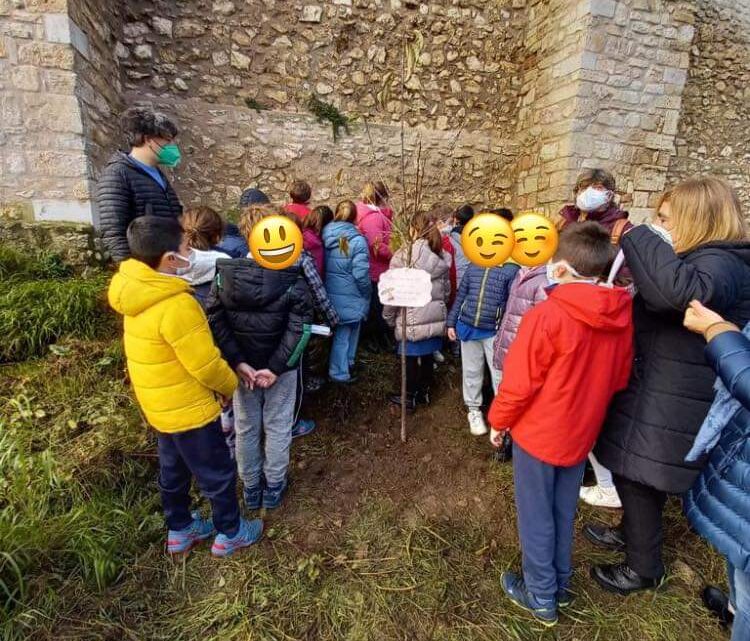 NARNI, FESTA DELL’ALBERO: A CHIOSTRO SANT’AGOSTINO PIANTATO NUOVO CILIEGIO, SARÀ PARTE FRUTTETO COMUNALE