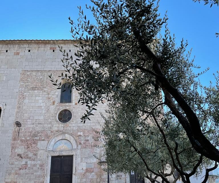 LA STRADA DELL’OLIO E.V.O. DOP UMBRIA PER IL SECONDO ANNO  CELEBRA L’ARRIVO DELLA PRIMAVERA E LA “GIORNATA INTERNAZIONALE DELLA POESIA” CON IL PROGETTO “L’ULIVO DELLA RINASCITA”