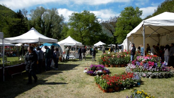 EVENTI: PRIMAVERA IN VALNERINA, PRONTA A RIFIORIRE LA 15ESIMA EDIZIONE