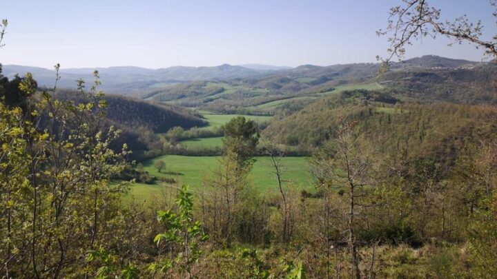 ENTE PRODUTTORI SELVAGGINA (EPS), ASSEGNATE LE CARICHE SOCIALI