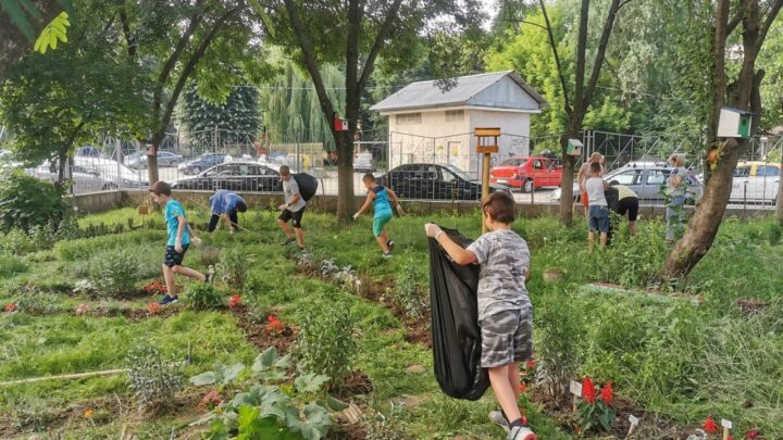WILD GARDEN, DOPO L’ESPERIENZA DELL’ISTITUTO COMPRENSIVO “DALMAZIO BIRAGO”  DI TUORO E PASSIGNANO SUL TRASIMENO, CHE HA COINVOLTO 130 ALUNNI, SEMPRE PIÙ SCUOLE VOGLIONO TRASFORMARE I PROPRI GIARDINI SCOLASTICI IN DELLE VERE E PROPRIE AULE A CIELO APERTO.
