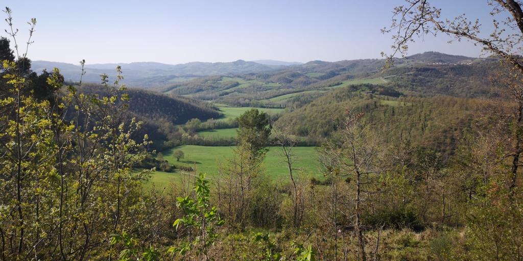FORMAZIONE DEL PIANO PAESAGGISTICO REGIONALE DELL’UMBRIA: CONCLUSA ATTIVITÀ DI RICOGNIZIONE, DELIMITAZIONE E RAPPRESENTAZIONE DEI BENI PAESAGGISTICI