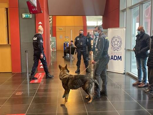 PERUGIA: DUE PASSEGGERI SORPRESI IN AEROPORTO DAI FUNZIONARI ADM E DALLE UNITÀ CINOFILE GDF CON SOSTANZE STUPEFACENTI. UN TERZO CON VALUTA NON DICHIARATA