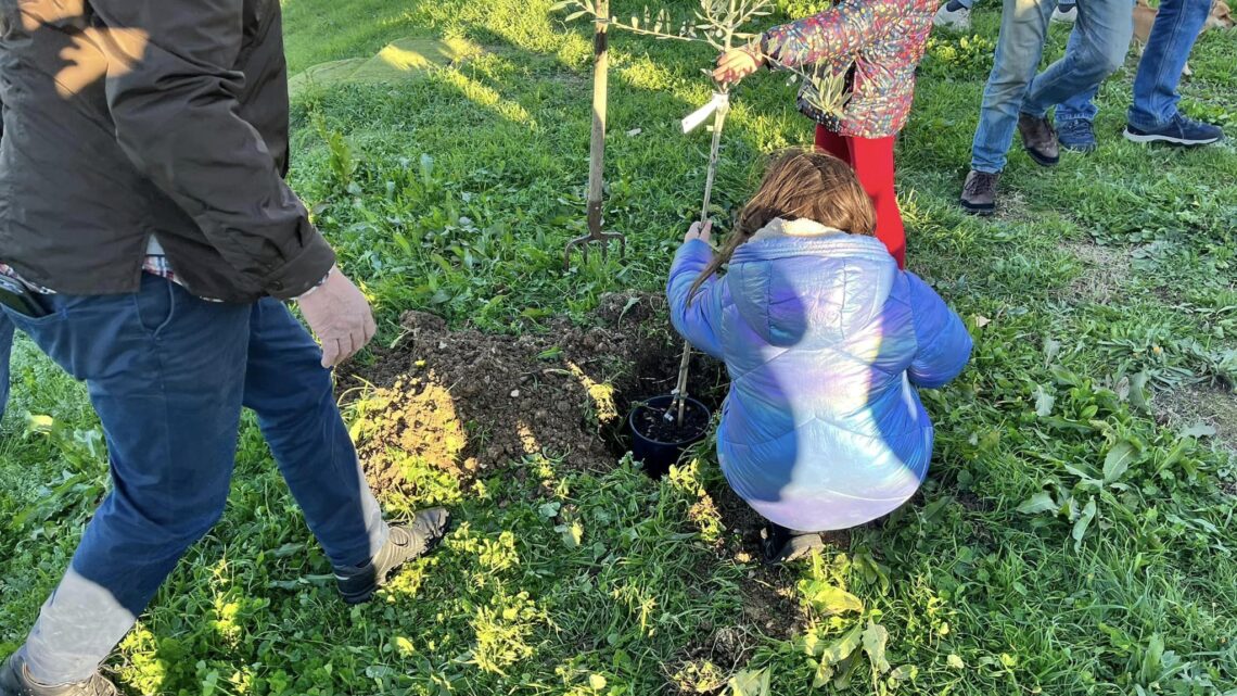 UN ALBERO PER OGNI BAMBINO NATO A MIRIANO DI NARNI E DINTORNI:  L’INIZIATIVA DELL’ASSOCIAZIONE CASALE DEL LAGO FARE INSIEME