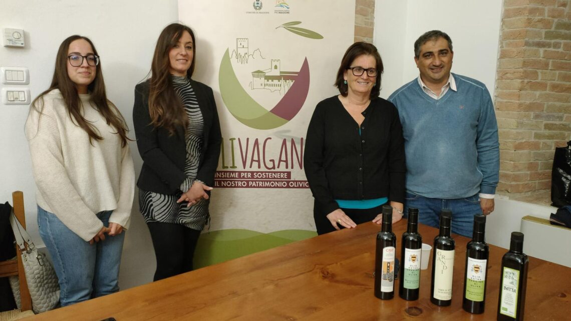 MAGIONE FESTEGGIA L’OLIO, RITORNA OLIVAGANDO: BEN 50 EVENTI IN DUE GIORNI