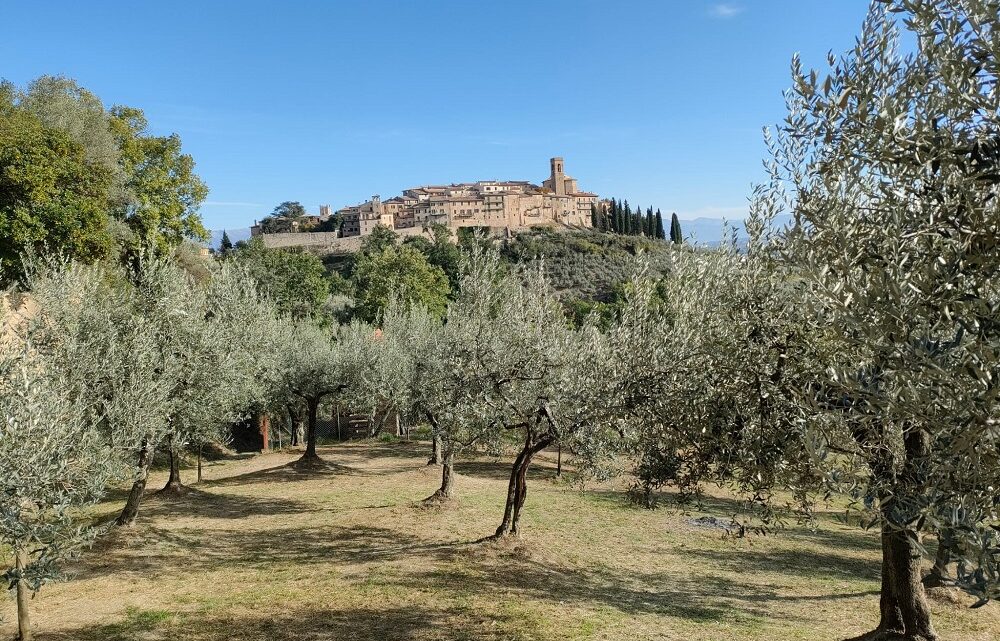 DUE GIORNI DI TOUR NEI FRANTOI E NEI CASTELLI DEL TERRITORIO, ANCHE IN E-BIKE,  CON PERCORSI ALL’INSEGNA DELL’OLIO NUOVO E DEI PAESAGGI UNICI DI GUALDO CATTANEO.
