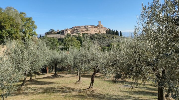 DUE GIORNI DI TOUR NEI FRANTOI E NEI CASTELLI DEL TERRITORIO, ANCHE IN E-BIKE,  CON PERCORSI ALL’INSEGNA DELL’OLIO NUOVO E DEI PAESAGGI UNICI DI GUALDO CATTANEO.