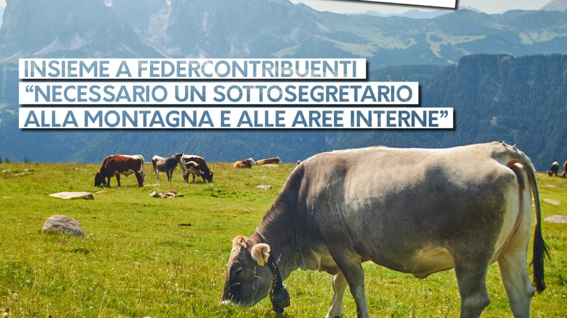 MONTAGNA, PEDERZOLLI (FEDERBIM): CONDIVIDIAMO LA RICHIESTA DI FEDERCONTRIBUENTI. NECESSARIO UN SOTTOSEGRETARIO ALLA MONTAGNA E ALLE AREE INTERNE