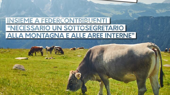 MONTAGNA, PEDERZOLLI (FEDERBIM): CONDIVIDIAMO LA RICHIESTA DI FEDERCONTRIBUENTI. NECESSARIO UN SOTTOSEGRETARIO ALLA MONTAGNA E ALLE AREE INTERNE