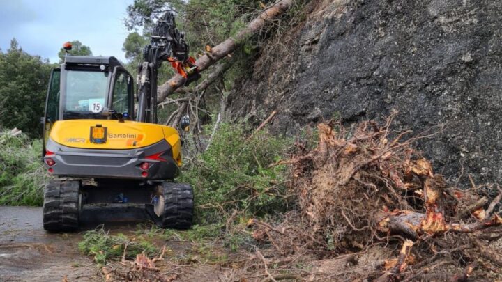 MALTEMPO, CONTINUANO LE VERIFICHE SULLA RETE STRADALE: A MONTEFRANCO IN SVOLGIMENTO I LAVORI DI RIMOZIONE DELLE ALBERATURE SULLA SP 4
