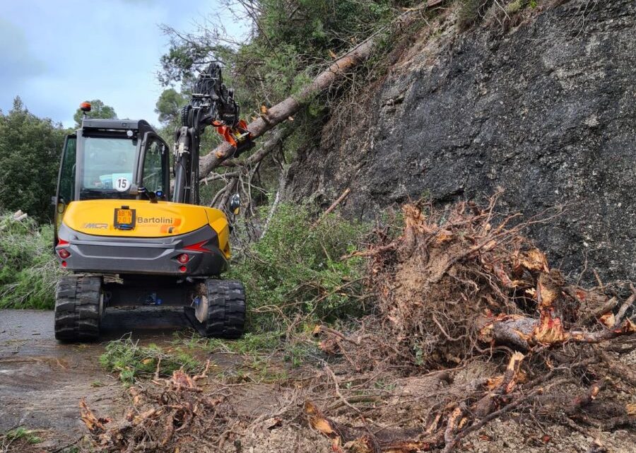 MALTEMPO, CONTINUANO LE VERIFICHE SULLA RETE STRADALE: A MONTEFRANCO IN SVOLGIMENTO I LAVORI DI RIMOZIONE DELLE ALBERATURE SULLA SP 4