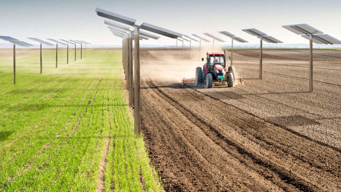 IN UMBRIA UN SISTEMA AGRIVOLTAICO AVANZATO: NASCERÀ A VALFABBRICA (LOC. SOSPERTOLE)  GRAZIE ALL’AZIENDA AKREN CON LA COLLABORAZIONE SCIENTIFICA  DI CESAR – UNIVERSITÀ DEGLI STUDI DI PERUGIA.