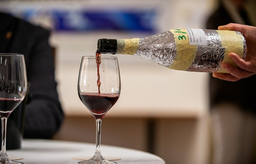 L’UMBRIA DEL VINO PROTAGONISTA DI SLOW WINE FAIR 2023