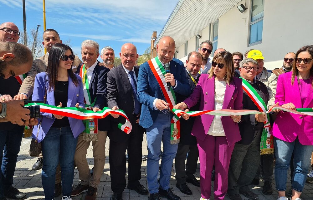 AGRICOLLINA, TAGLIO DEL NASTRO STAMATTINA PER LA 55EIMA EDIZIONE: L’UMBRIA AI VERTICI NAZIONALI PER L’ALLEVAMENTO DELLA CHIANINA