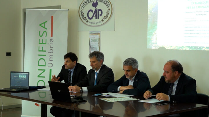 GESTIONE DEI RISCHI IN AGRICOLTURA, CONDIFESA UMBRIA ILLUSTRA STRUMENTI A DISPOSIZIONE DEGLI AGRICOLTORI