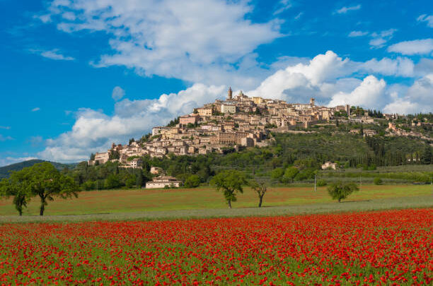 ALLA SCOPERTA DELLA REGINA DEGLI ULIVI: IL FESTIVAL DEL SOL APPRODA A TREVI