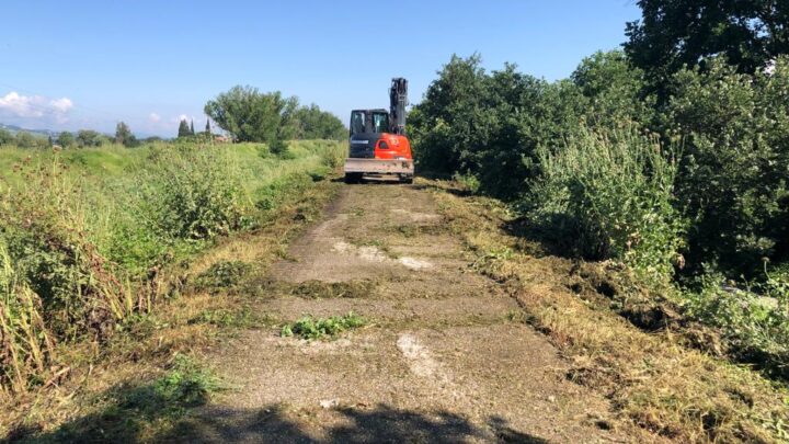 PISTA CICLABILE SPOLETO-ASSISI, ASSESSORE MELASECCHE: ATTIVATI LAVORI DI MANUTENZIONE STRAORDINARIA PER RIPRISTINARE PERCORRIBILITÀ E DECORO, MA BASTA INTERVENTI IN EMERGENZA. OCCORRE UN PROGRAMMA COORDINATO CON FINANZIAMENTI AD HOC PER DEFINIRE ONERI E COMPETENZE PER TUTTA LA RETE CICLABILE UMBRA