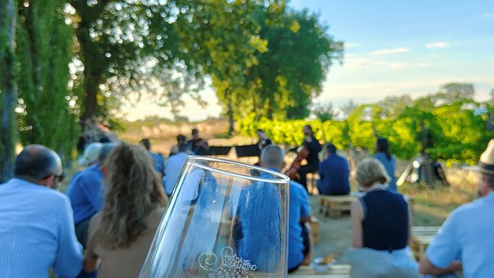 UN QUARTETTO DI FLAUTI AL TRAMONTO PER IL PROSSIMO ‘VIGNE & NOTE’