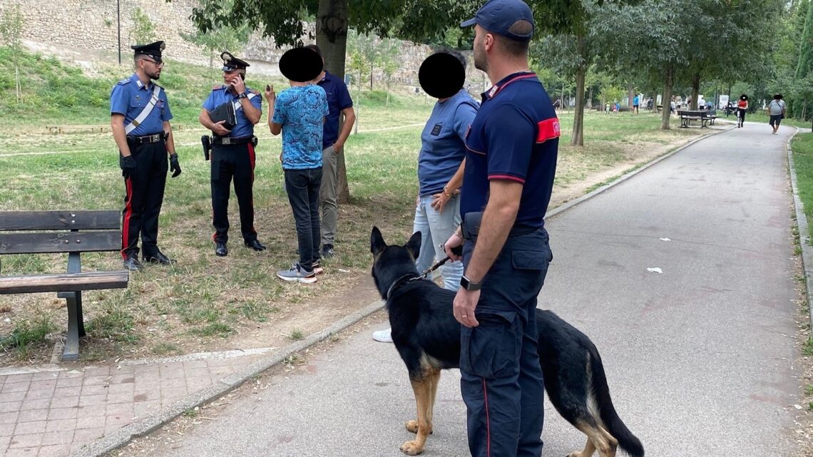 TERNI: OPERAZIONE “PARCHI SICURI” – DENUNCIATA UNA PERSONA PER DETENZIONE DI STUPEFACENTI A FINI DI SPACCIO.
