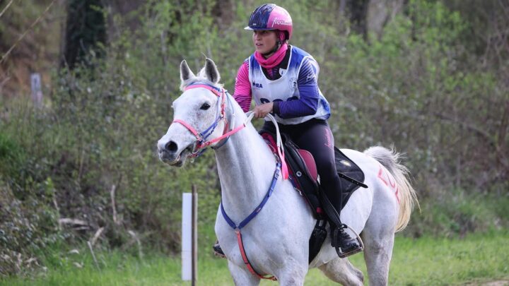 COSTANZA LALISCIA NEI PAESI BASSI  AL CAMPIONATO EUROPEO SENIOR 2023 DI ENDURANCE