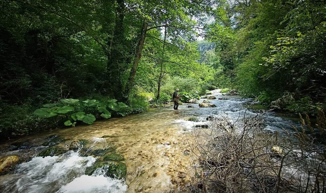 FIUME NERA, L’ASSESSORE ALL’AMBIENTE THOMAS DE LUCA PRENDE LA GUIDA TAVOLO DI COORDINAMENTO: “PROGETTO PILOTA PER L’INTERA REGIONE PER LA MANUTENZIONE PARTECIPATA DEL TERRITORIO RIMETTENDO IL FIUME NELLE MANI DELLE COMUNITÀ LOCALI. SPOSTARE L’AZIONE DALLE EMERGENZE ALL’ORDINARIO PER RIDURRE DANNI E COSTI”