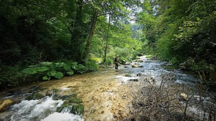 FIUME NERA, L’ASSESSORE ALL’AMBIENTE THOMAS DE LUCA PRENDE LA GUIDA TAVOLO DI COORDINAMENTO: “PROGETTO PILOTA PER L’INTERA REGIONE PER LA MANUTENZIONE PARTECIPATA DEL TERRITORIO RIMETTENDO IL FIUME NELLE MANI DELLE COMUNITÀ LOCALI. SPOSTARE L’AZIONE DALLE EMERGENZE ALL’ORDINARIO PER RIDURRE DANNI E COSTI”