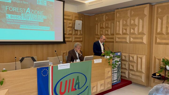 FORESTAZIONE E GREEN DEAL, LA UILA: “ATTEGGIAMENTO PROATTIVO PER LA GESTIONE DEL PATRIMONIO BOSCHIVO, ECCO LE NOSTRE PROPOSTE”