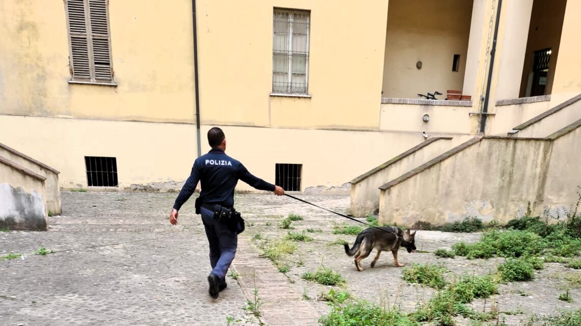 OPERAZIONE AD ALTO IMPATTO DELLA POLIZIA DI STATO DI TERNI