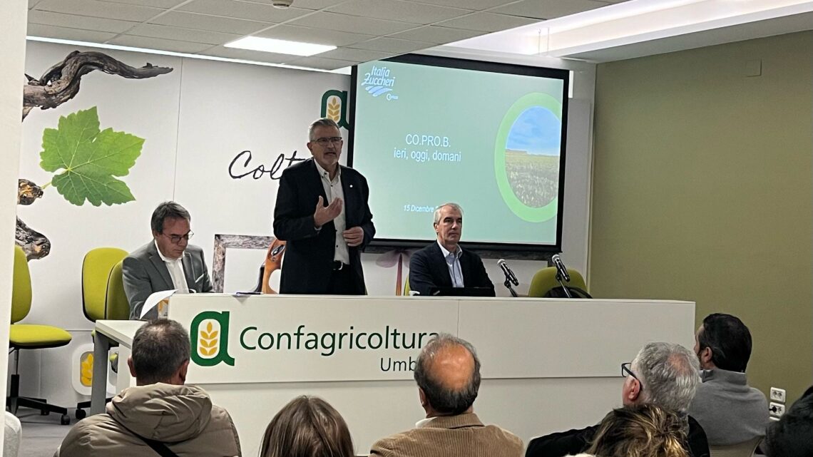 COLTIVARE BARBABIETOLA DA ZUCCHERO IN UMBRIA DAL 2024 SARÀ POSSIBILE:  “UN’IMPORTANTE OPPORTUNITÀ ECONOMICA”.