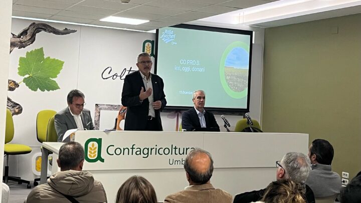 COLTIVARE BARBABIETOLA DA ZUCCHERO IN UMBRIA DAL 2024 SARÀ POSSIBILE:  “UN’IMPORTANTE OPPORTUNITÀ ECONOMICA”.