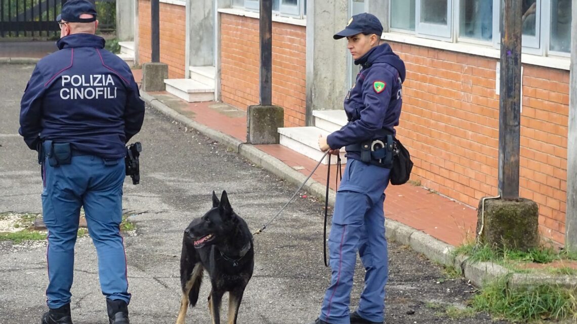 INDAGINE NATA DALL’ARRESTO DI UNO STUDENTE PER SPACCIO DA PARTE DELLA POLIZIA DI STATO DI ORVIETO