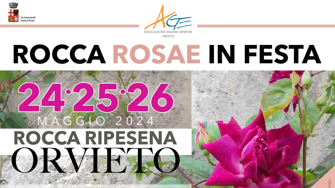 ROCCA ROSAE IN FESTA. 