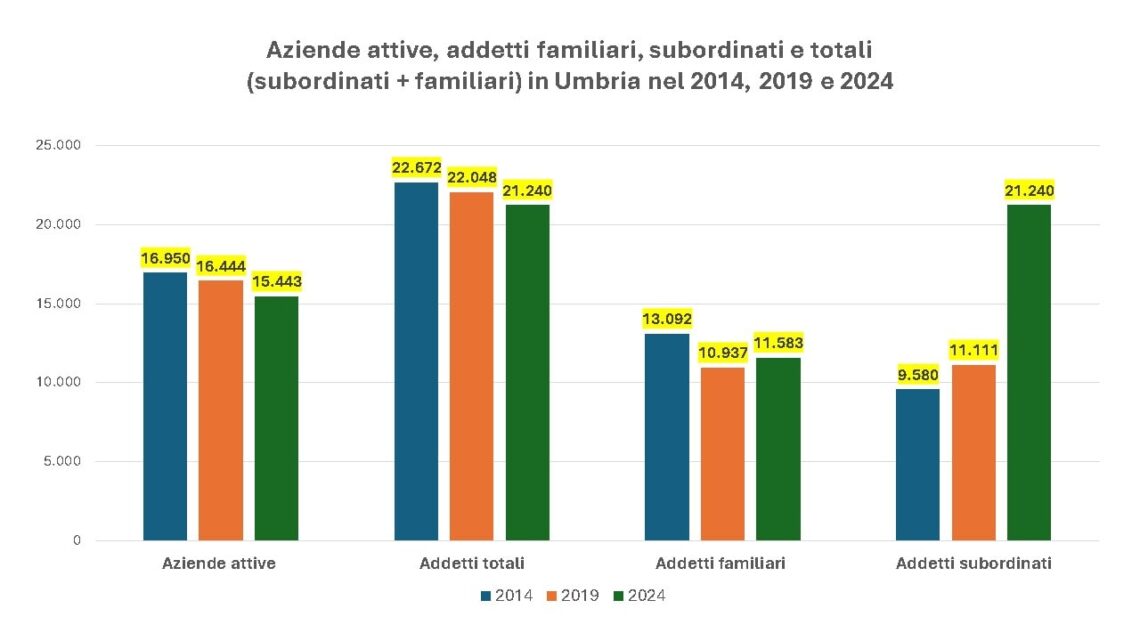L’AGRICOLTURA UMBRA IN DIFFICOLTÀ: BILANCI IN CALO E IMPRESE ANCORA TROPPO PICCOLE