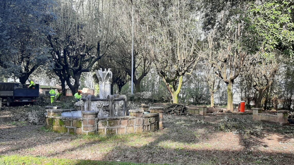 AL VIA GLI INTERVENTI DI MANUTENZIONE STRAORDINARIA DEL PATRIMONIO ARBOREO COMUNALE