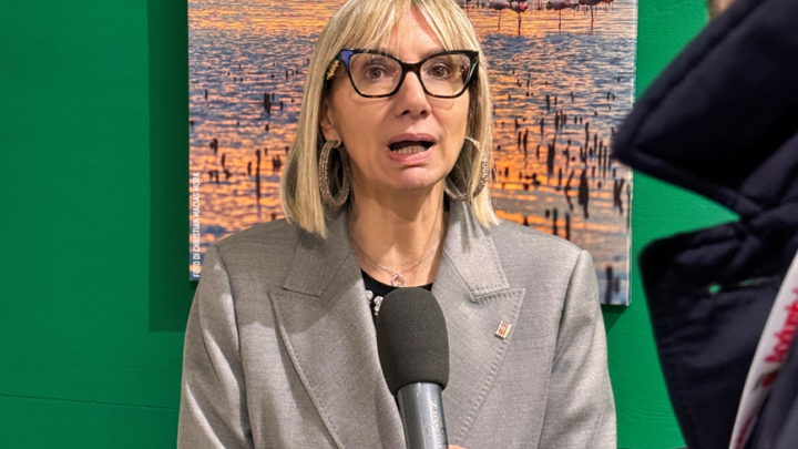 LA GIUNTA INDIVIDUA LE AREE DI INTERVENTO PER I CONTRIBUTI DEL FONDO PER LA PROMOZIONE DELL’ATTIVITÀ SPORTIVA. MELONI: “PIÙ OPPORTUNITÀ SUI TERRITORI E SPORT COME LEVA DI BENESSERE E INCLUSIONE”