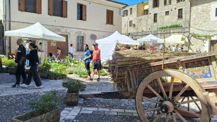 ‘PRIMAVERA IN VALNERINA – IL CENTRO STORICO DI SANT’ANATOLIA IN FIORE’, PRESENTATA LA XIX EDIZIONE