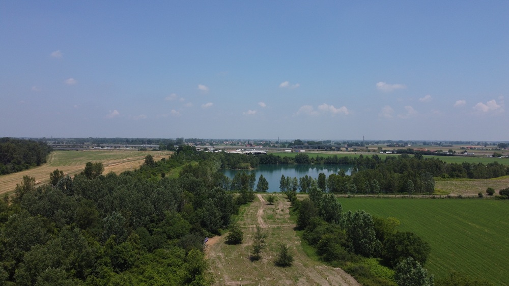 OLTRE CENTOMILA ALBERI IN SEI ANNI:  IL MODELLO PARMA PER LA FORESTA URBANA CHE CAMBIA IL CLIMA DELLE CITTÀ